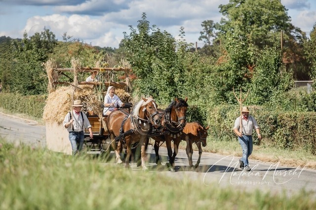 7V6A1944 | natalia-nirschl-photography