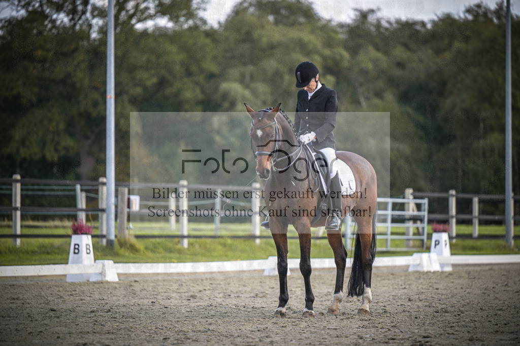 DOS_0488 | Entdecke hochwertige Reitturnierfotos von Foto Oger. Professionell, emotional und authentisch – jetzt Lieblingsmomente im Shop bestellen.Deutschlandweite Turnierfotografie. - Realisiert mit Pictrs.com