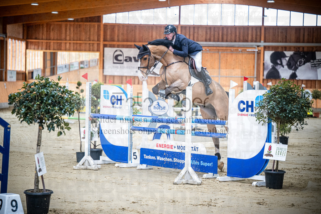 DOS_0017 | Entdecke hochwertige Reitturnierfotos von Foto Oger. Professionell, emotional und authentisch – jetzt Lieblingsmomente im Shop bestellen.Deutschlandweite Turnierfotografie. - Realisiert mit Pictrs.com