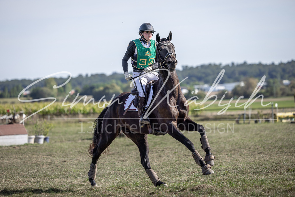 20250907-_3LI3242 | Tierfotografie Pferde, Hunde, Katzen, Haustiere.
Turnierfotografie Reitturniere, Reiten, Springreiten, Dressur in Hanau, dem Main-Kinzig-Kreis und dem Rhein-Main- Gebiet um Frankfurt