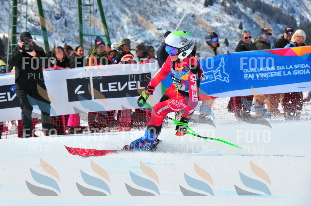 DSC_1512 | holidayphoto