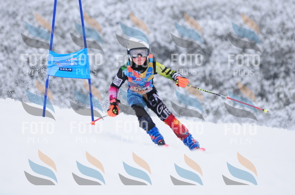 C3060 | holidayphoto