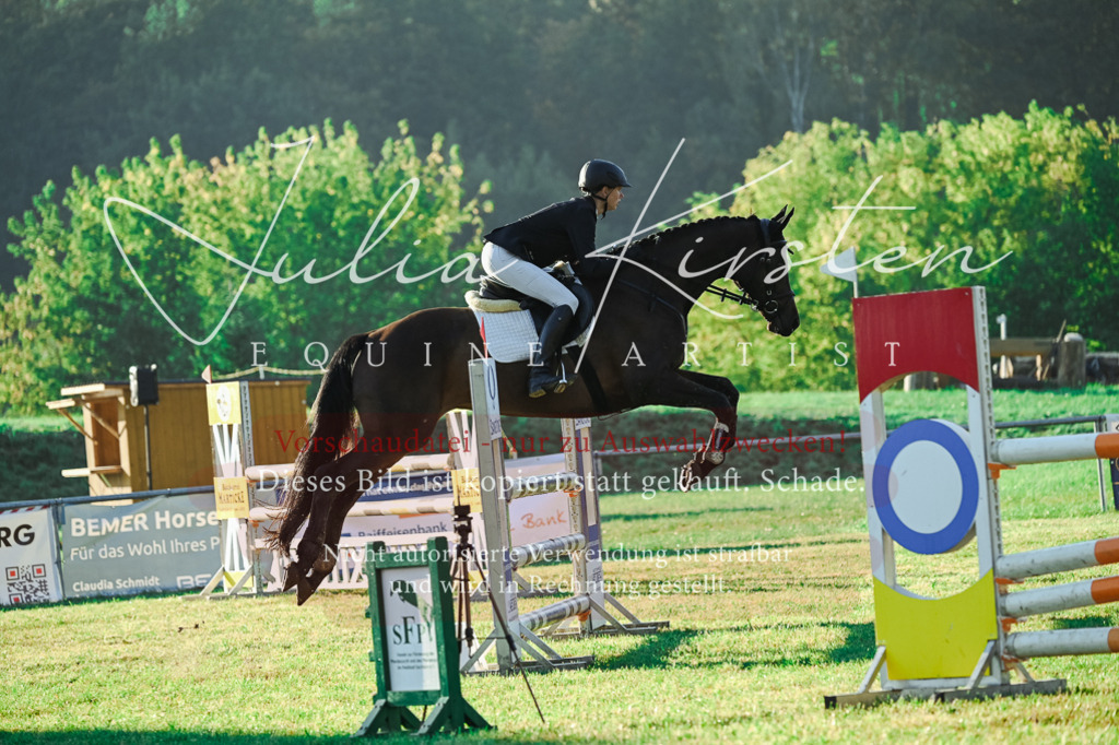 DSC_4176 | Pferde- und Turnierfotografie in Westsachsen. Pferdeportraits, Auftragszeichnungen und intuitive Kunst.