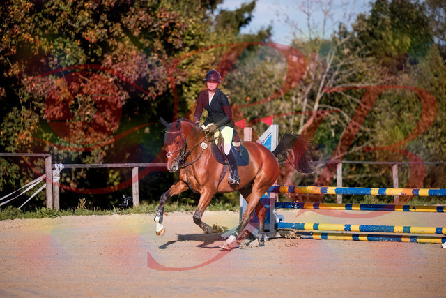 2026_10_03_Siefer-Hof_170906_Z81_05927731 | Professionelle Reitsport-, Turnier- und Eventfotografie von Robert Broda. Galerien mit ausgewählten und bearbeiteten Bildern direkt online ansehen und bestellen.