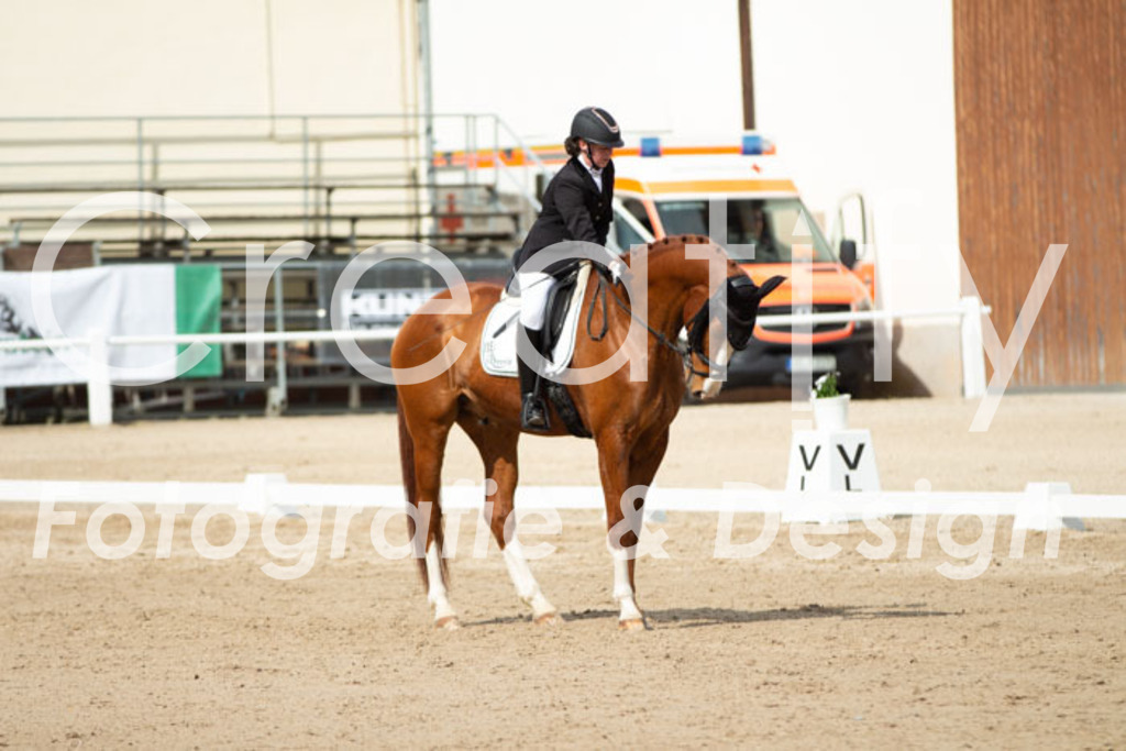 IMG_1380 | Creatify Fotografie