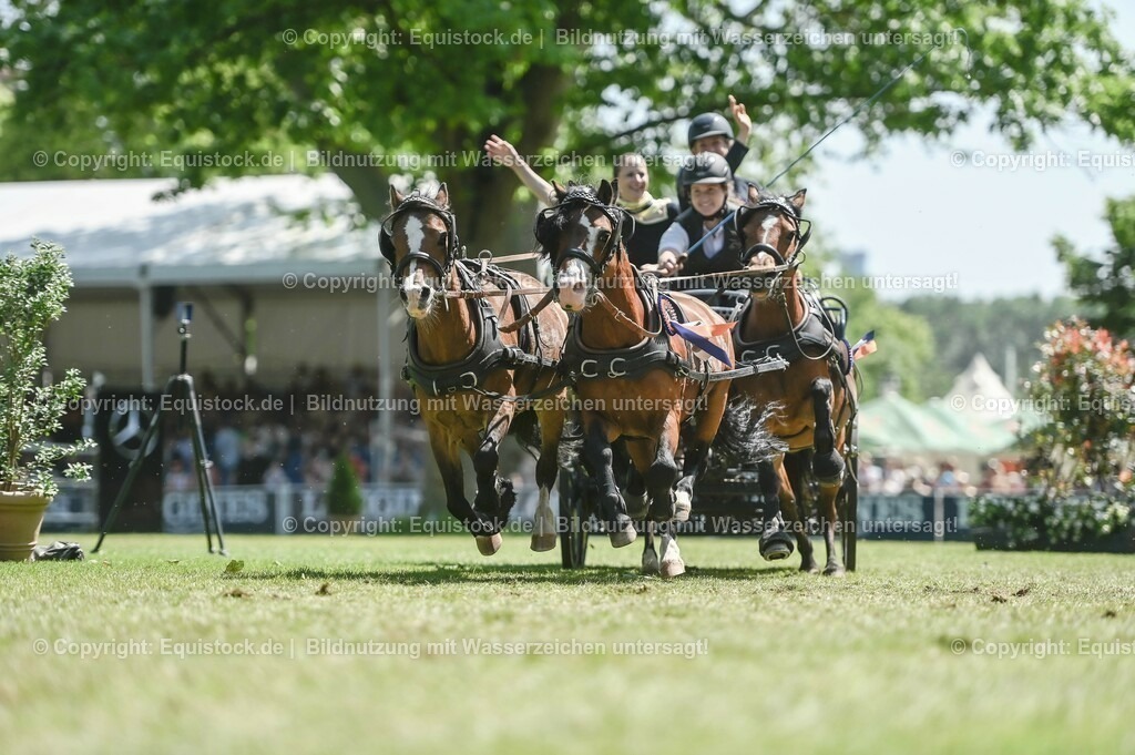 20230528_Jump-and-Drive_0288 | equistock