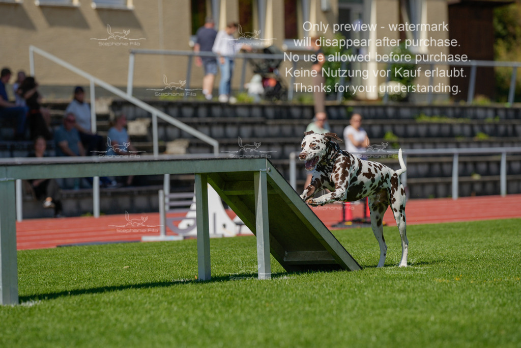 Sonntag_VK Hindernis (103 von 671) | stephaniefillaphotographie - Realisiert mit Pictrs.com