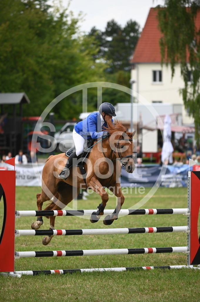 DSC_2540 | sattelsport - Realisiert mit Pictrs.com