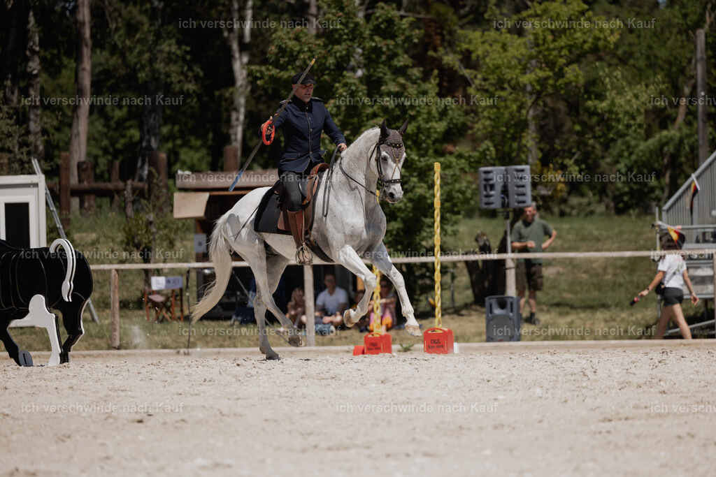 WE_SP_Stoib_327_PI2025_1923 | Pferd International München 2025