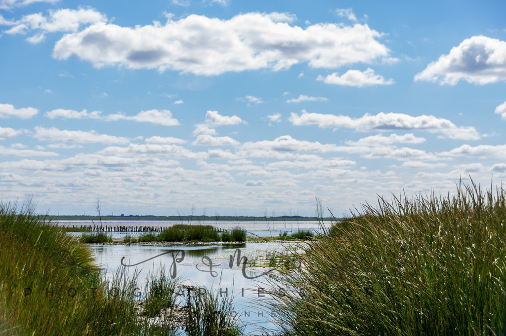 IMGP0407 | Nordseeinsel Mandö - Realisiert mit Pictrs.com