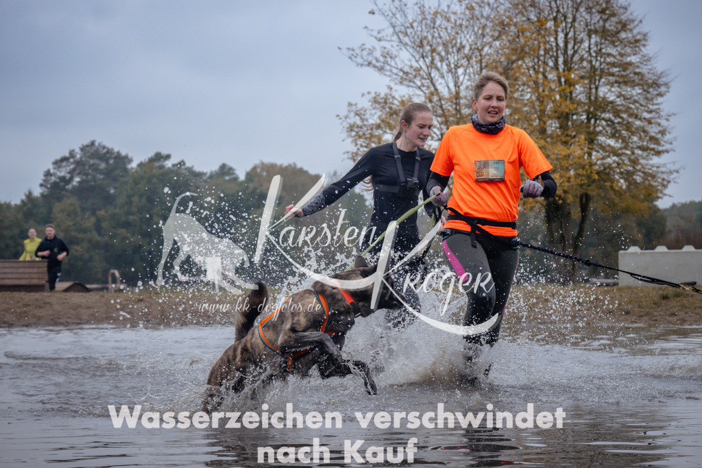 1201_ZZ97905 | kk-dogfotos