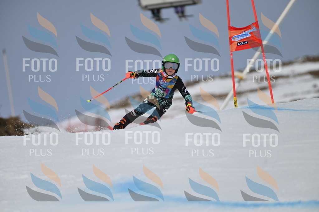 BGV_5232 | holidayphoto