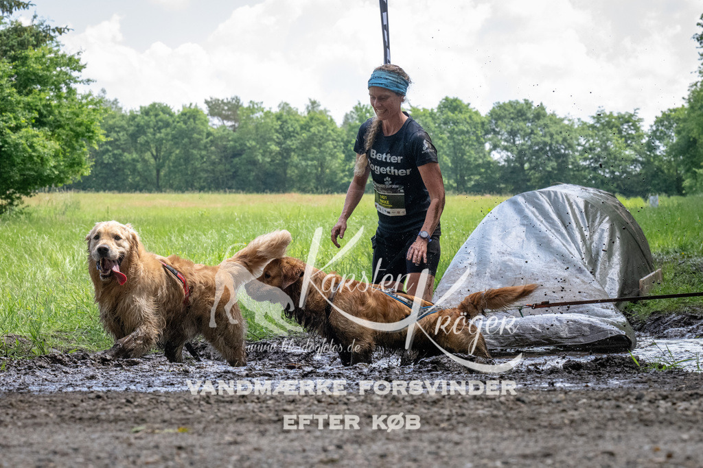 1145_ZZ94365 | kk-dogfotos