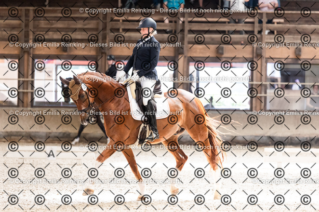 CL5A6023 | Emilia Reinking Fotografie - Realisiert mit Pictrs.com