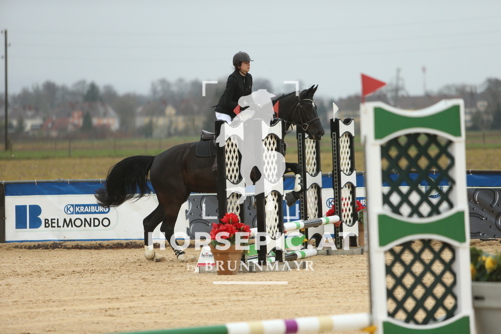 DL2Q0893 | Willkommen bei Brunnmayr - Design & Fotografie – Ihrem Spezialisten für Reitturniere und Pferdeveranstaltungen in Oberösterreich, Salzburg und Bayern! Seit über 17 Jahren sind wir leidenschaftlich dabei.