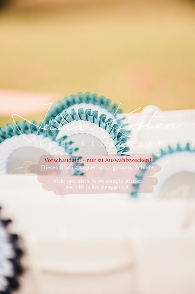 DSC_5389 | Pferde- und Turnierfotografie in Westsachsen. Pferdeportraits, Auftragszeichnungen und intuitive Kunst.