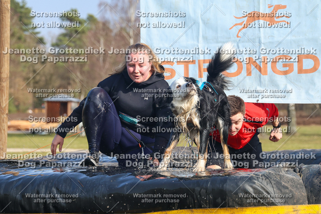 Dog Paparazzi - Strongdog North Mrz26-3074 | Dog Paparazzi Jeanette Grottendiek Fotografie & Videografie - Realisiert mit Pictrs.com