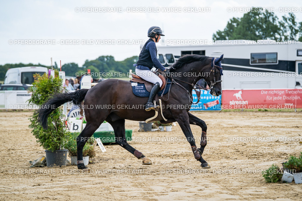 DSC06809 | Pferdegrafie