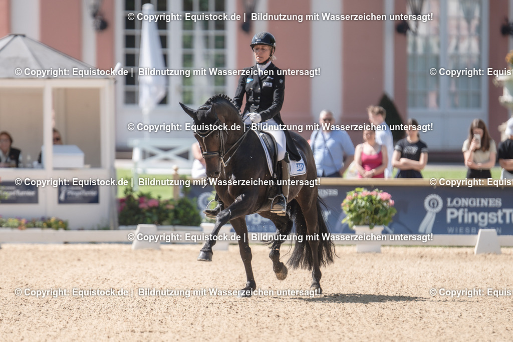 20230529_29_Louisdor_0053 | equistock