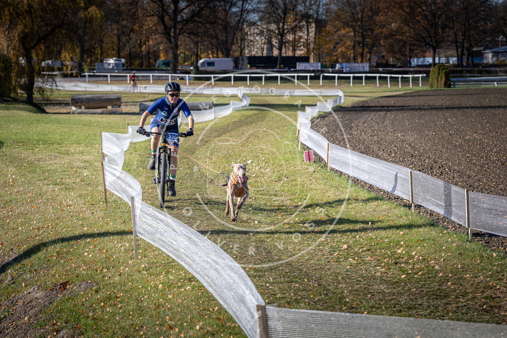 CaniXpix_DV3A6730 | Hundefotografie, Tierfotograf, Pfotenfotografie, Fotoshooting Hund, Hunde Portrait, Hundesport, Hundeportraits, Heideshooting, Hunde, Sportfotograf, Hundefotograf, Turnierhundsport, THS,  - Realisiert mit Pictrs.com