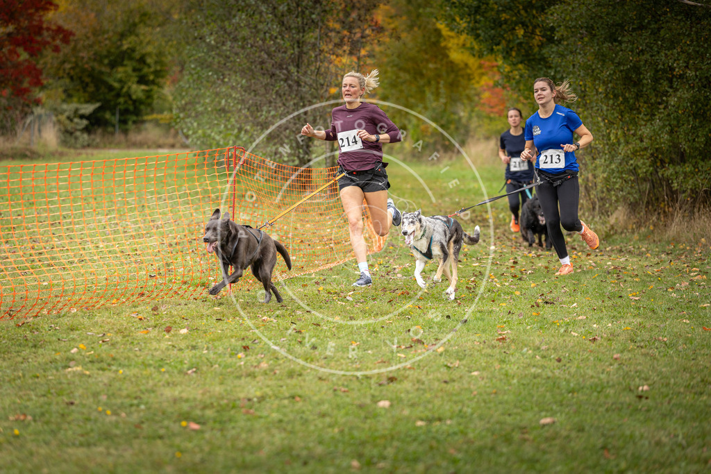 Pfotenfotografie_DV3A4752 | Hundefotografie, Tierfotograf, Pfotenfotografie, Fotoshooting Hund, Hunde Portrait, Hundesport, Hundeportraits, Heideshooting, Hunde, Sportfotograf, Hundefotograf, Turnierhundsport, THS,  - Realisiert mit Pictrs.com