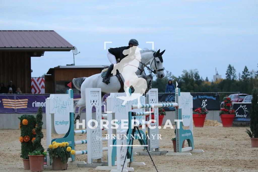 DL2Q6672 | Willkommen bei Brunnmayr - Design & Fotografie – Ihrem Spezialisten für Reitturniere und Pferdeveranstaltungen in Oberösterreich, Salzburg und Bayern! Seit über 17 Jahren sind wir leidenschaftlich dabei.