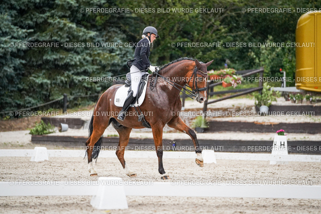 DSC09825 | Pferdegrafie