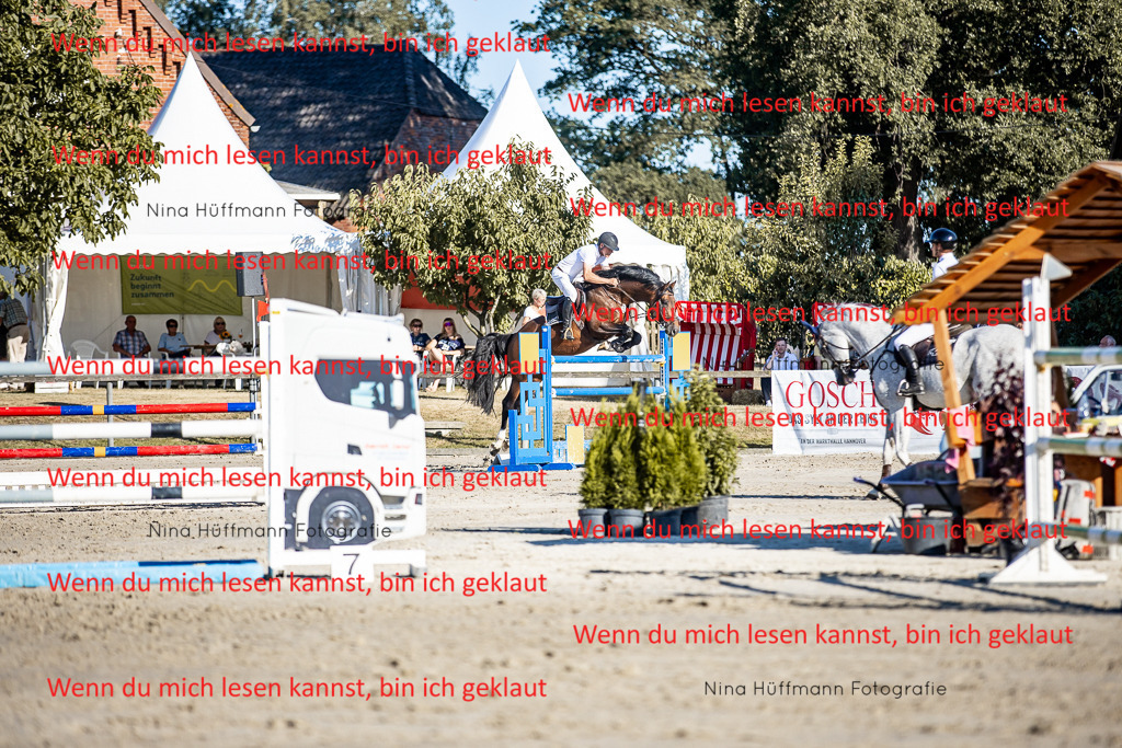 BK1A8238 | Turnierbilder Turnierfotos Nina Hüffmann Turnierfotografie Pferdefotografie Tierzeichnung Haustierzeichnung Pferdezeichnung Hundezeichnung Videograf  - Realisiert mit Pictrs.com