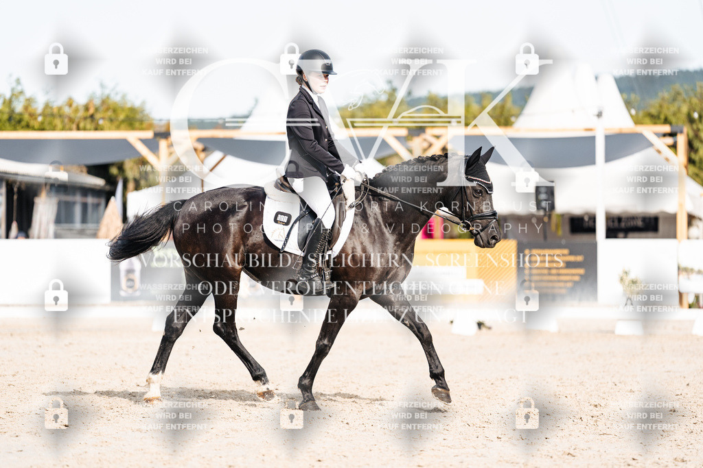 CK905023 | Turnierfotografie Pferdefotografie Trier Rheinland-Pfalz Pferdesport Reitsport Tierfotografie Sportfotografie Pferdevideo Pferdevideografie Equestrianvideography equestrianphotography  - Realisiert mit Pictrs.com
