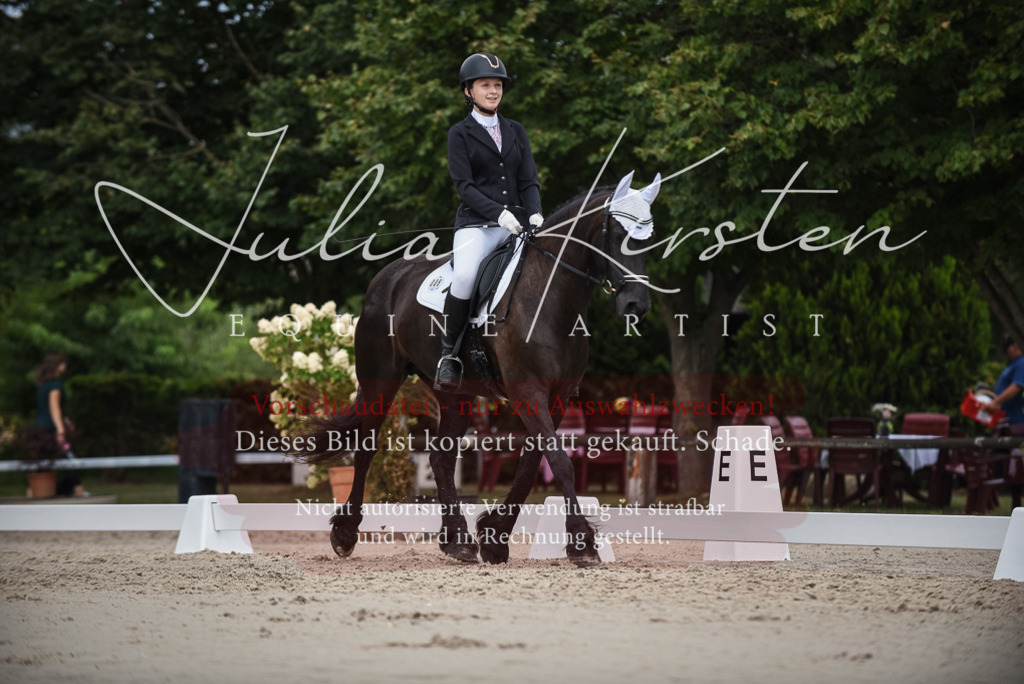 DSC_8594 | Pferde- und Turnierfotografie in Westsachsen. Pferdeportraits, Auftragszeichnungen und intuitive Kunst.