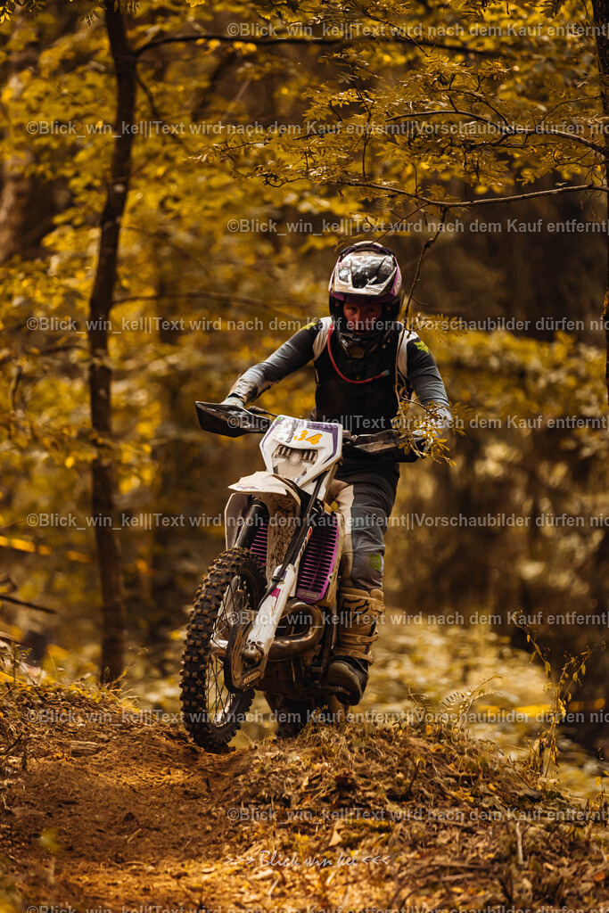 E68A3927 | blick_win_kel