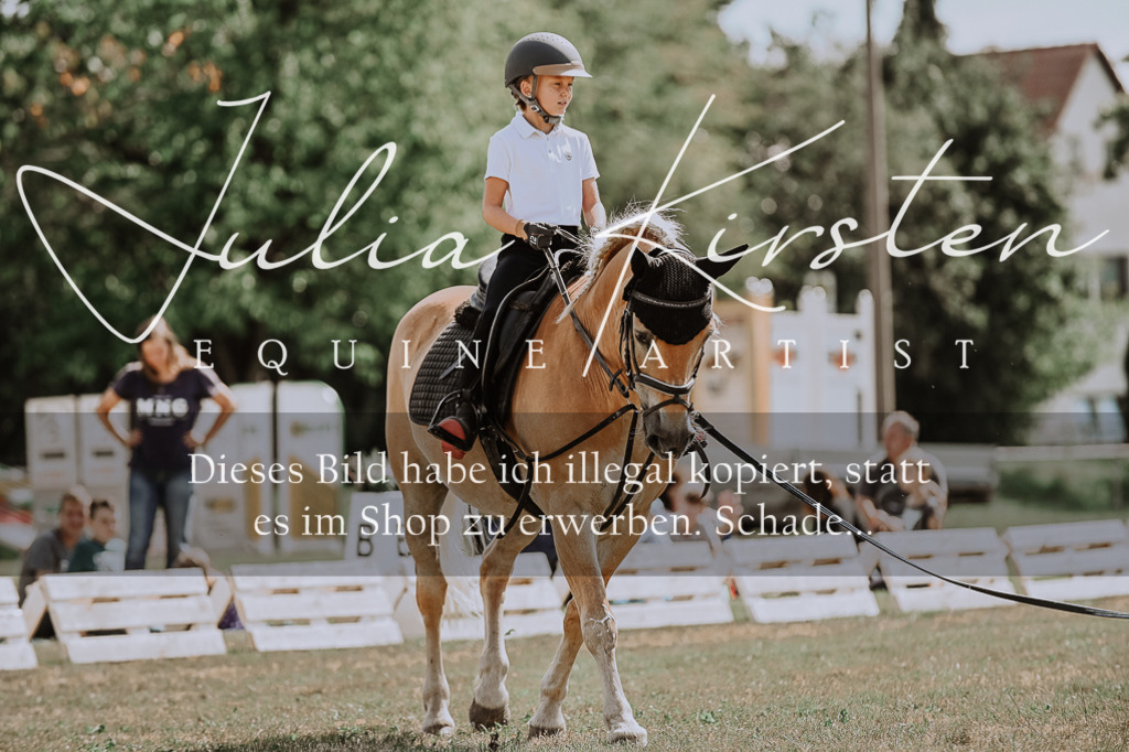 DSC_7745 | Pferde- und Turnierfotografie in Westsachsen. Pferdeportraits, Auftragszeichnungen und intuitive Kunst.