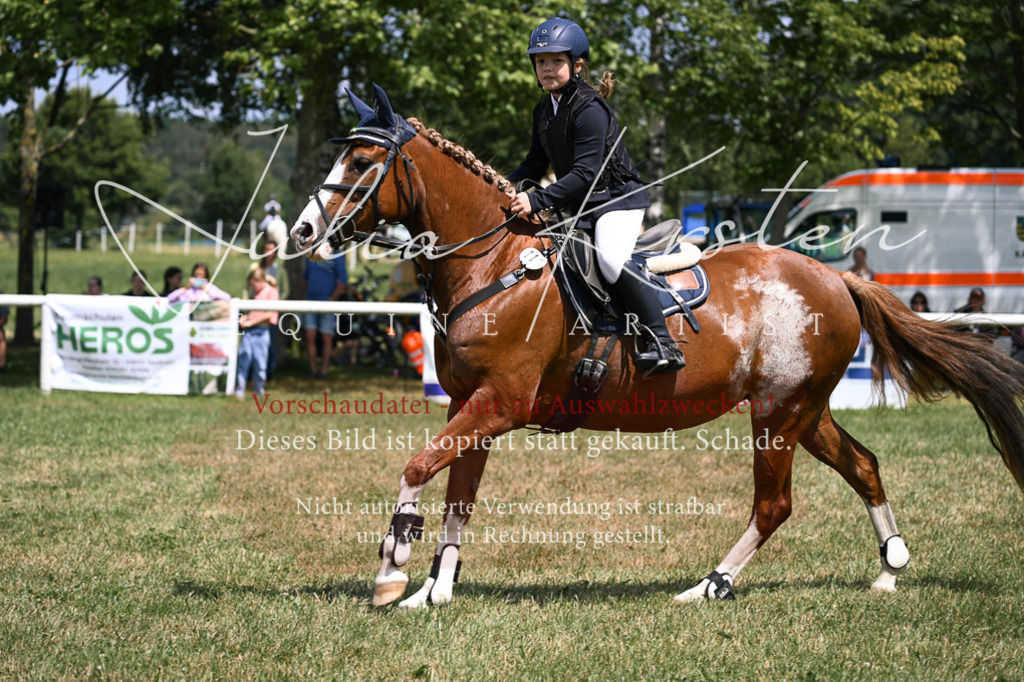 DSC_9209 | Pferde- und Turnierfotografie in Westsachsen. Pferdeportraits, Auftragszeichnungen und intuitive Kunst.