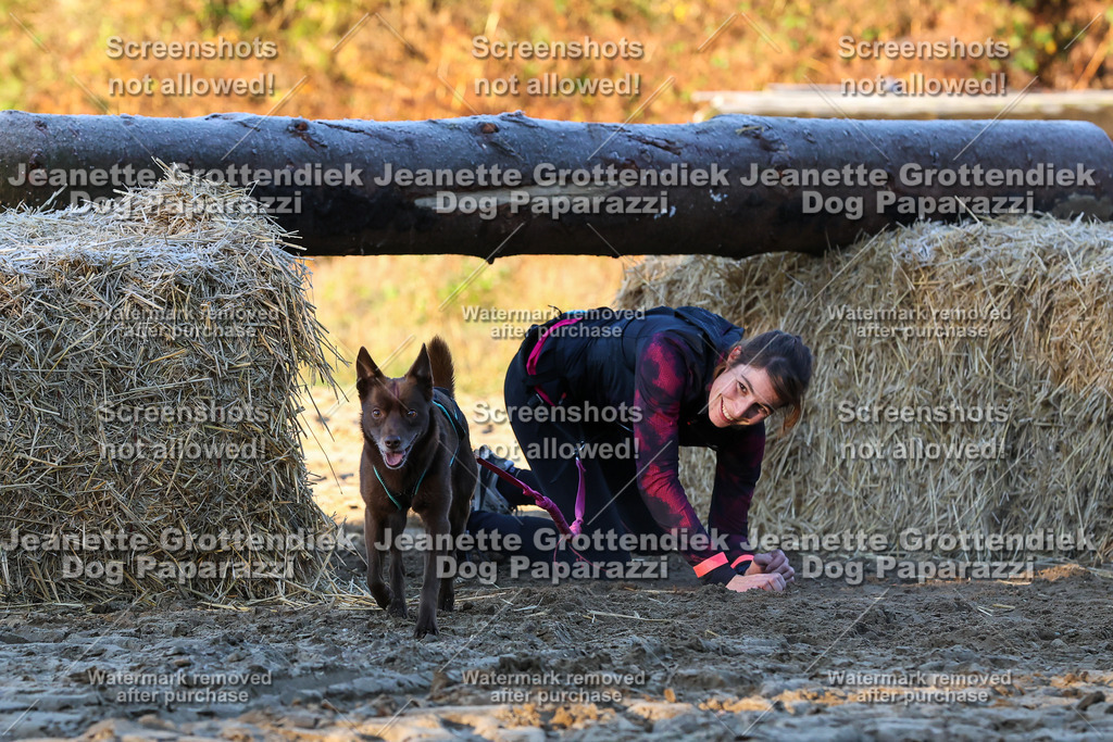 Dog Paparazzi - Strongdog 10-25-595 | Dog Paparazzi Jeanette Grottendiek Fotografie & Videografie - Realisiert mit Pictrs.com