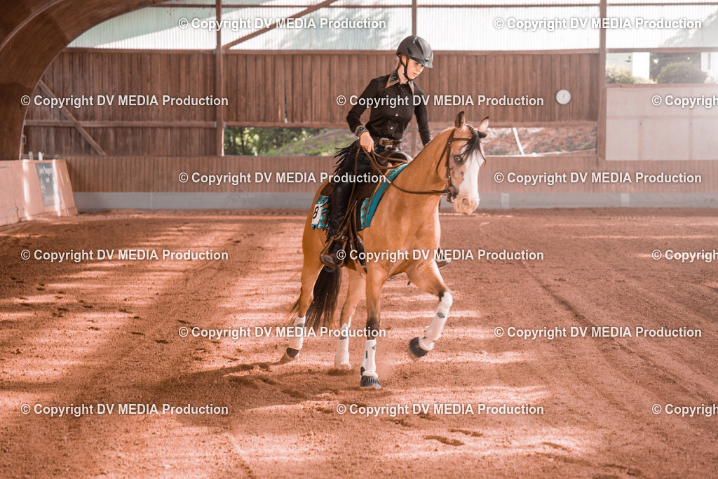 NE201111 | dv-media-shop - Realisiert mit Pictrs.com