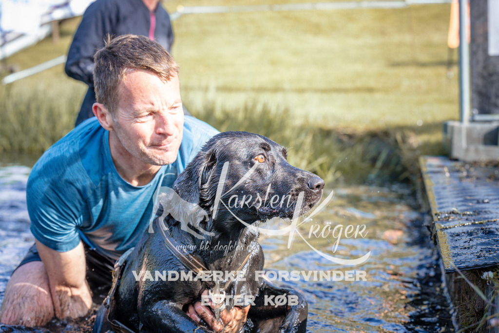 _ZZ958680728 | kk-dogfotos