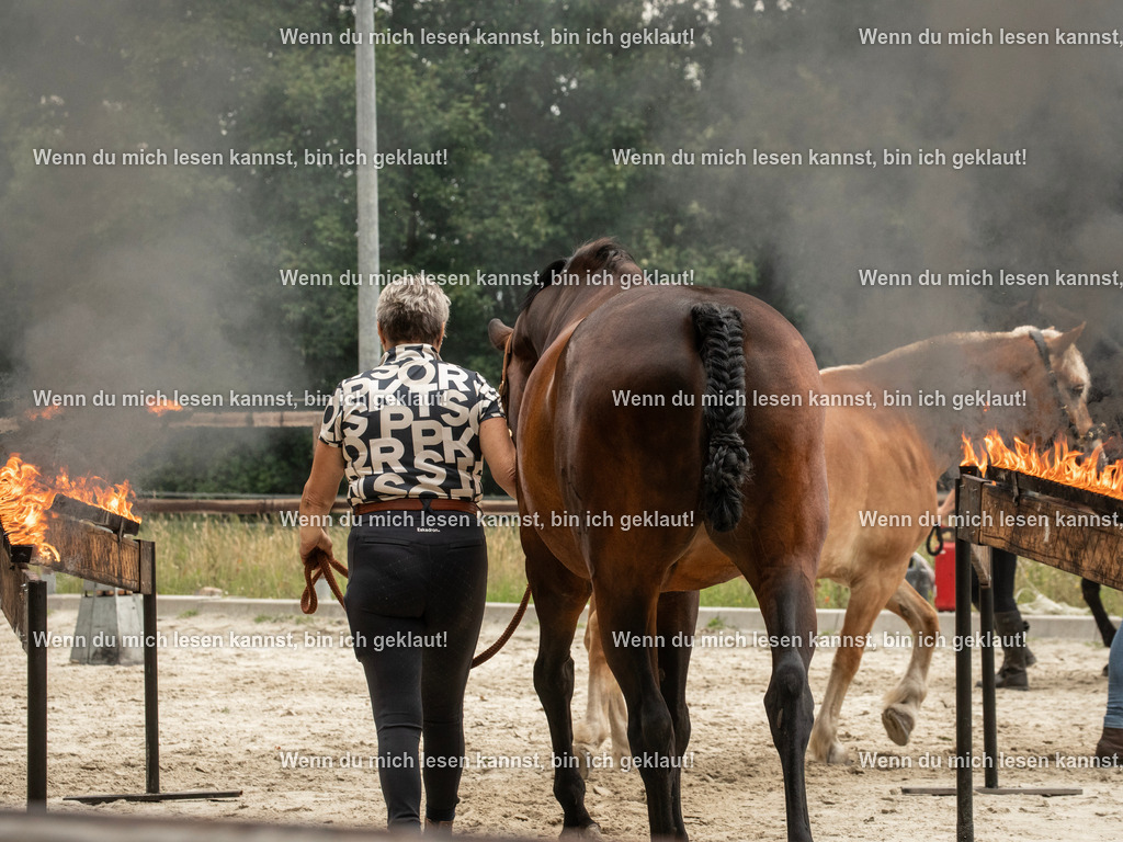 598A6999 | photographylinaismer - Realisiert mit Pictrs.com