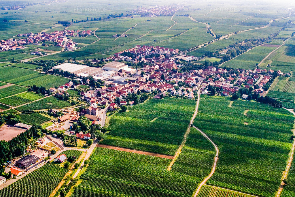 Luftbild: Winzerort von Südwesten in Böchingen im Bundesland Rheinland-Pfalz in Deutschland. Foto: IMG_12163.jpg vom 31.07.2008 durch Werner Riehm/FLY-FOTO.de