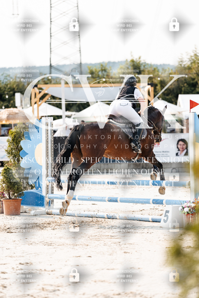CK902884 | Turnierfotografie Pferdefotografie Trier Rheinland-Pfalz Pferdesport Reitsport Tierfotografie Sportfotografie Pferdevideo Pferdevideografie Equestrianvideography equestrianphotography  - Realisiert mit Pictrs.com