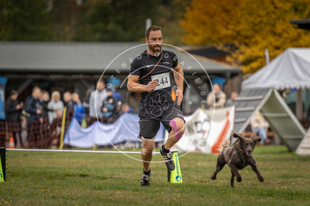 Pfotenfotografie_DV3A5090 | Hundefotografie, Tierfotograf, Pfotenfotografie, Fotoshooting Hund, Hunde Portrait, Hundesport, Hundeportraits, Heideshooting, Hunde, Sportfotograf, Hundefotograf, Turnierhundsport, THS,  - Realisiert mit Pictrs.com