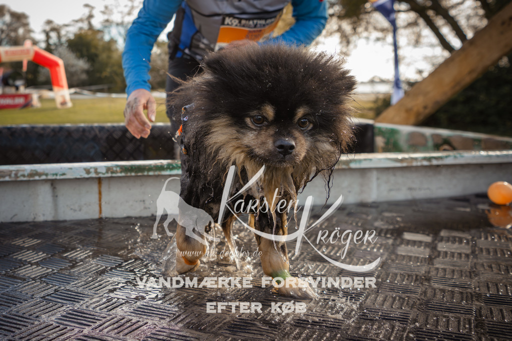 1315_ZZ99766-2 | kk-dogfotos