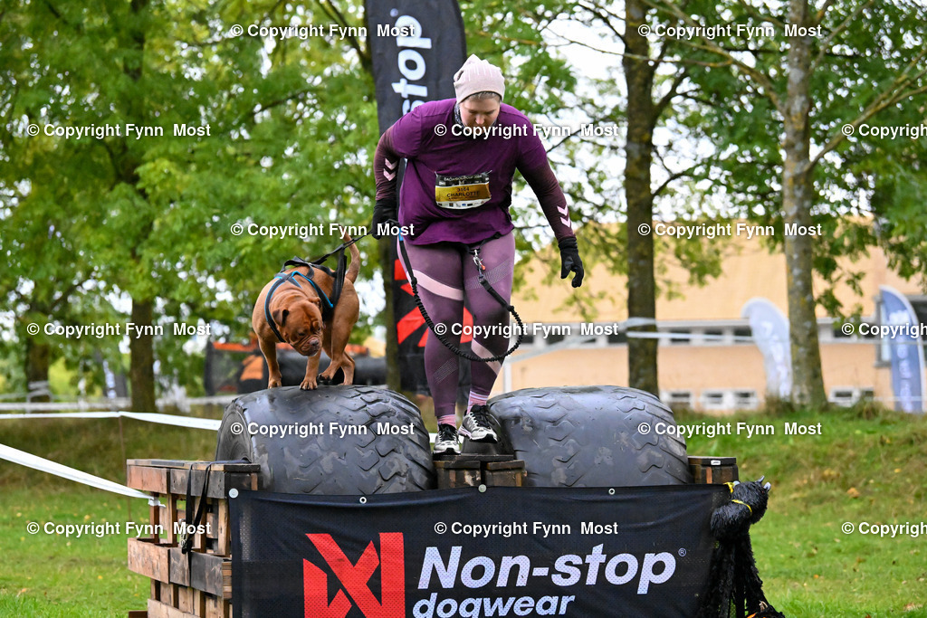 DSC_1598 | Hallo und herzlich Willkommen auf meiner Shop-Seite Fynn Most.

Ich wünsche Dir viel Spaß beim stöbern durch die Bilder, wenn Du Fragen hast oder Bilder vermisst, kannst du mir gerne eine Nachricht schreiben. - Realisiert mit Pictrs.com