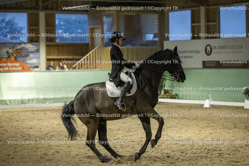 _D5A7454 | Emotionale Pferde- & People-Fotografie rund um Heidelberg, Leimen & Umgebung. Natürliche Fotos von Pferd, Mensch & Familie. Jetzt Termin sichern!