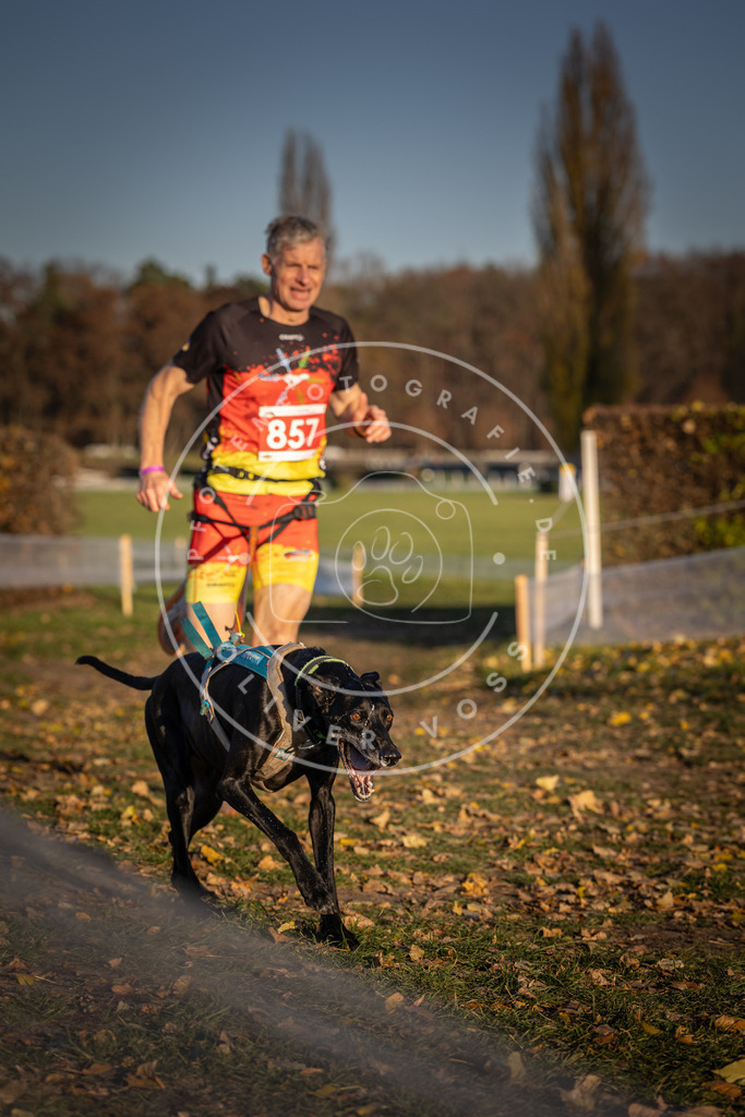 CaniXpix_DV3A3988 | Hundefotografie, Tierfotograf, Pfotenfotografie, Fotoshooting Hund, Hunde Portrait, Hundesport, Hundeportraits, Heideshooting, Hunde, Sportfotograf, Hundefotograf, Turnierhundsport, THS,  - Realisiert mit Pictrs.com