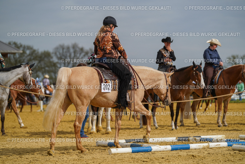 DSC02178 | Pferdegrafie