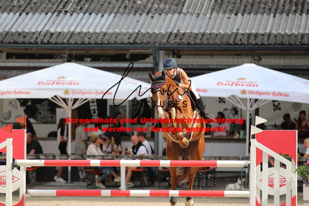 IMG_0740 | lmwpictures - Realisiert mit Pictrs.com