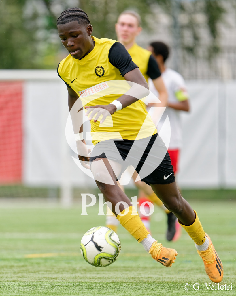 DSC_6779 | Velletri Photo