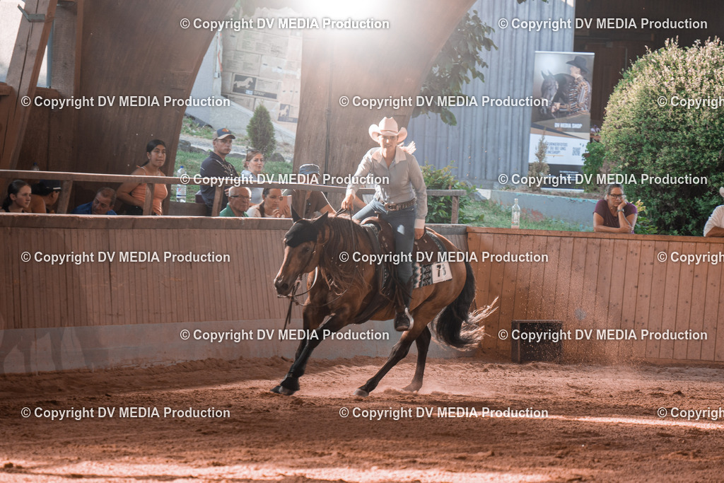 NE201350 | dv-media-shop - Realisiert mit Pictrs.com