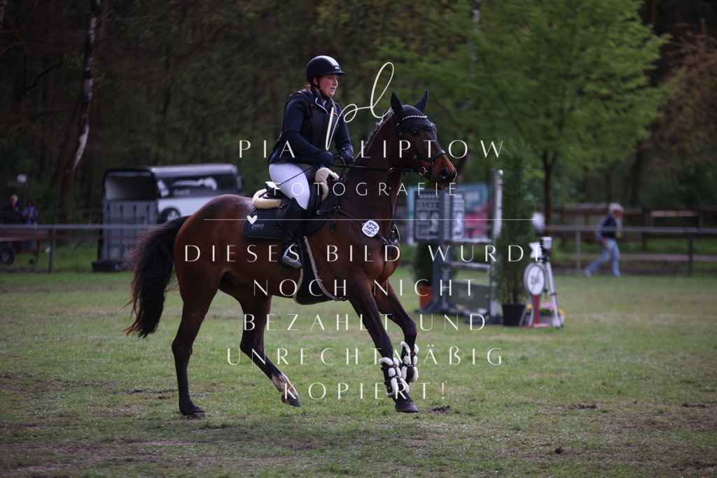 IMGT2047 | pl-fotografie