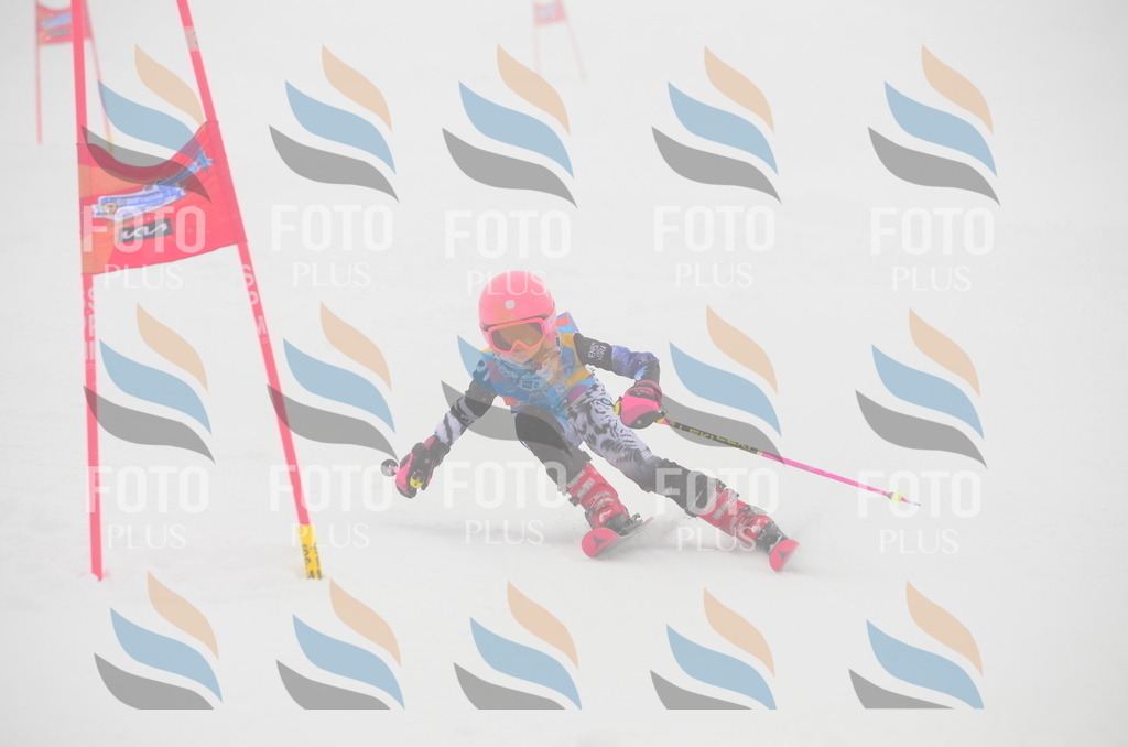 C1238 | holidayphoto